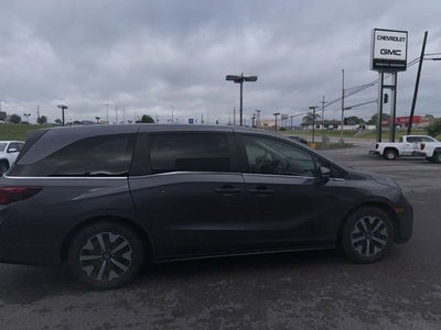 2025 Honda Odyssey EX-L